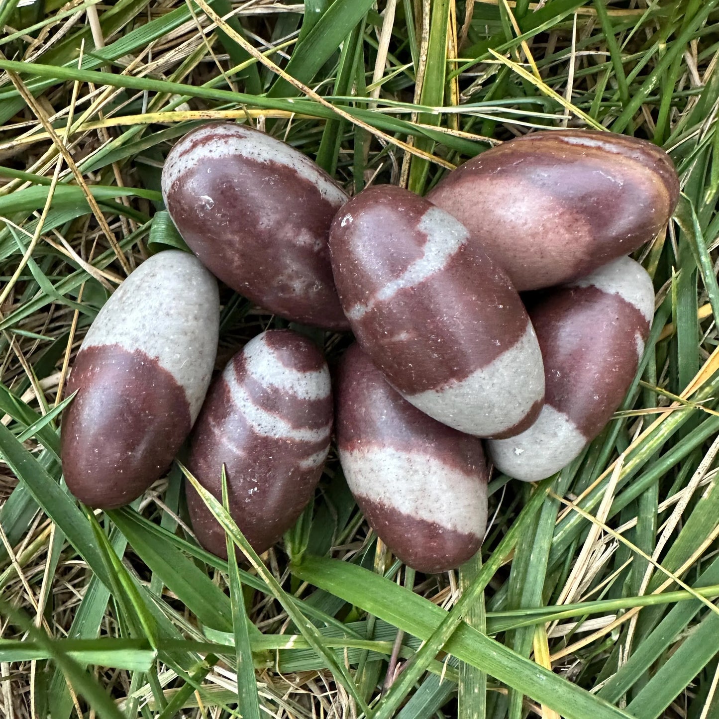 1.5 inches Shiva Lingam - bulk lot