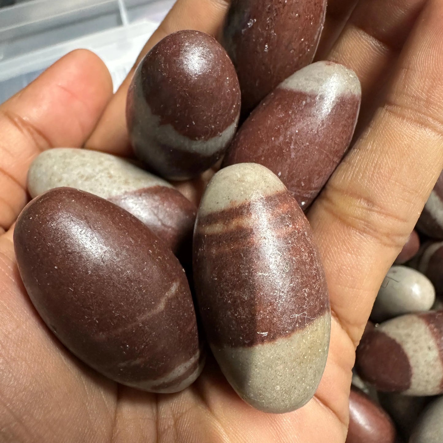 1.5 inches Shiva Lingam - bulk lot