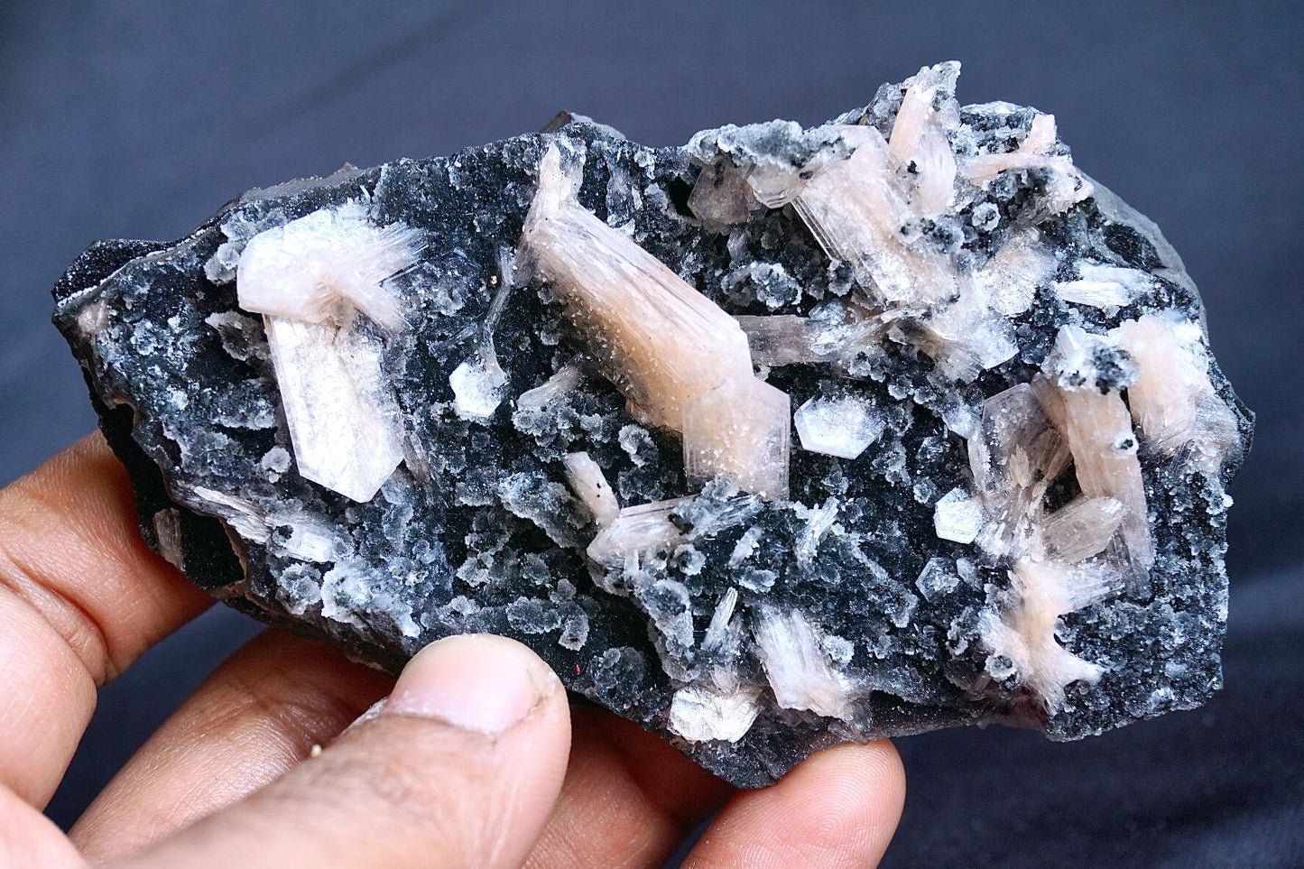 ES-ZM10013 - Amazing specimen of Peach Stilbite on shiny black Chalcedony